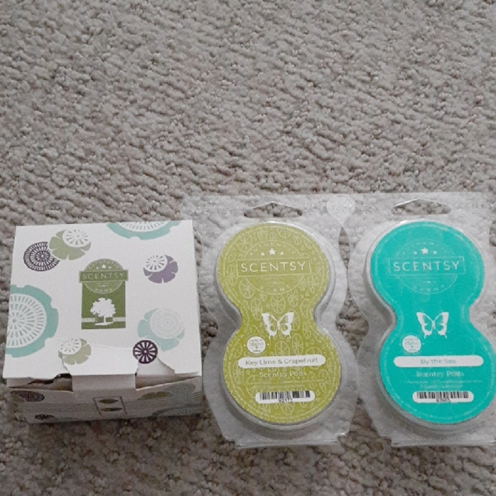 Brand New! 🦩 Scentsy 🦩